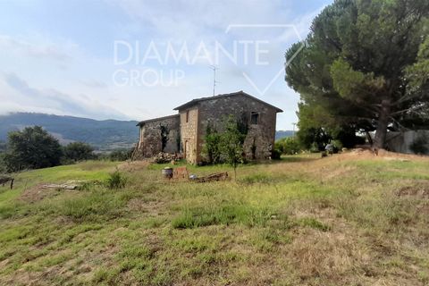 Farm i Acquapendente, Viterbo, Acquapendente - € 750.000 | Ref: AZ415 - foto 5
