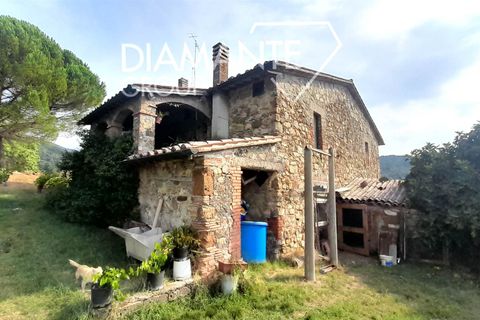 Farm i Acquapendente, Viterbo, Acquapendente - € 750.000 | Ref: AZ415 - foto 6