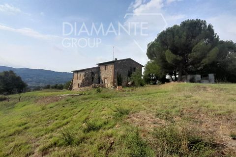 Farm i Acquapendente, Viterbo, Acquapendente - € 750.000 | Ref: AZ415 - foto 8