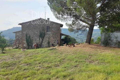 Farm i Acquapendente, Viterbo, Acquapendente - € 750.000 | Ref: AZ415 - foto 9