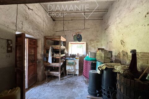 Farm hus i Piegaro, Perugia, Piegaro - € 260.000 | Ref: PE6408 - foto 9