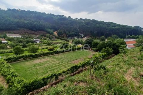 Helårsgrund i Arganil, Coimbra, Arganil - € 19.500 | Ref: ZMPT567812 - foto 2