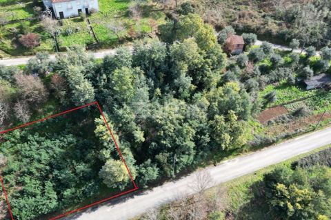 Helårsgrund i Arganil, Coimbra, Arganil - € 19.500 | Ref: ZMPT567812 - foto 3