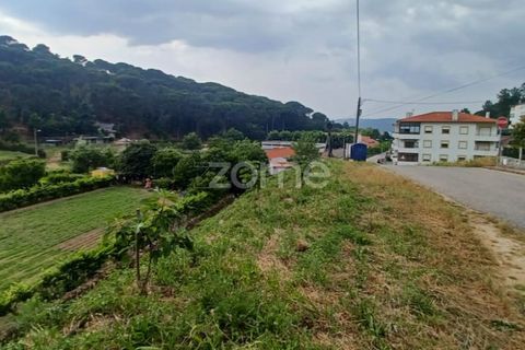 Helårsgrund i Arganil, Coimbra, Arganil - € 19.500 | Ref: ZMPT567812 - foto 4