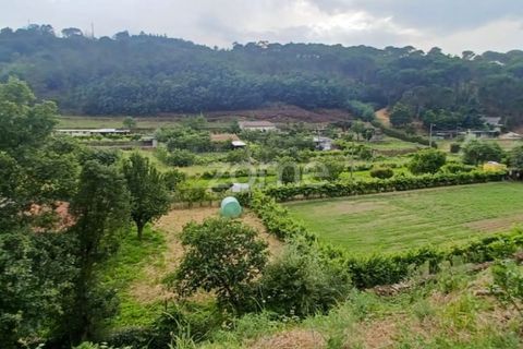 Helårsgrund i Arganil, Coimbra, Arganil - € 19.500 | Ref: ZMPT567812 - foto 5