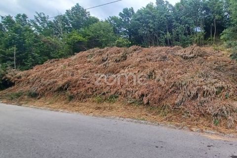 Helårsgrund i Arganil, Coimbra, Arganil - € 19.500 | Ref: ZMPT567812 - foto 13