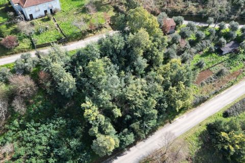 Helårsgrund i Arganil, Coimbra, Arganil - € 19.500 | Ref: ZMPT567812 - foto 14