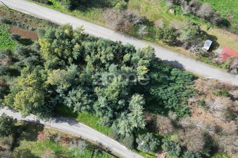 Helårsgrund i Arganil, Coimbra, Arganil - € 19.500 | Ref: ZMPT567812 - foto 15