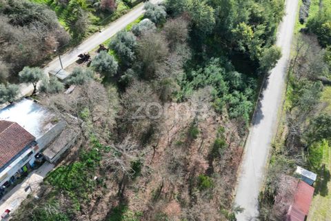 Helårsgrund i Arganil, Coimbra, Arganil - € 19.500 | Ref: ZMPT567812 - foto 17