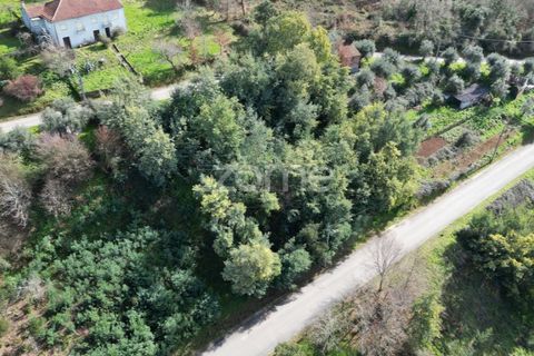 Helårsgrund i Arganil, Coimbra, Arganil - € 19.500 | Ref: ZMPT567812 - foto 18