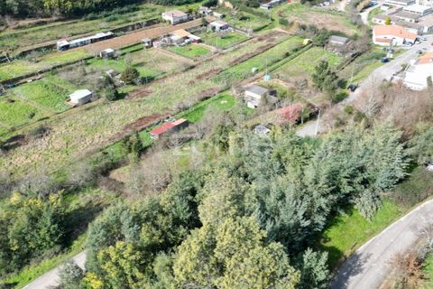 Helårsgrund i Arganil, Coimbra, Arganil - € 19.500 | Ref: ZMPT567812 - foto 19