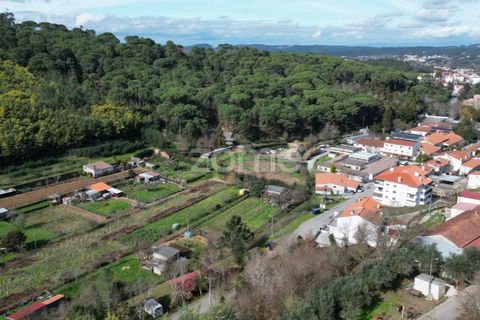 Helårsgrund i Arganil, Coimbra, Arganil - € 19.500 | Ref: ZMPT567812 - foto 20