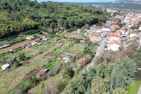 Helårsgrund i Arganil, Coimbra, Arganil - € 19.500 | Ref: ZMPT567812 - foto 21