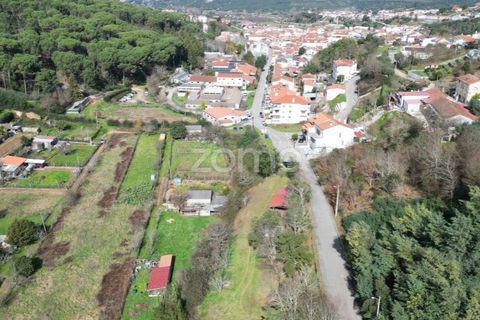 Helårsgrund i Arganil, Coimbra, Arganil - € 19.500 | Ref: ZMPT567812 - foto 22