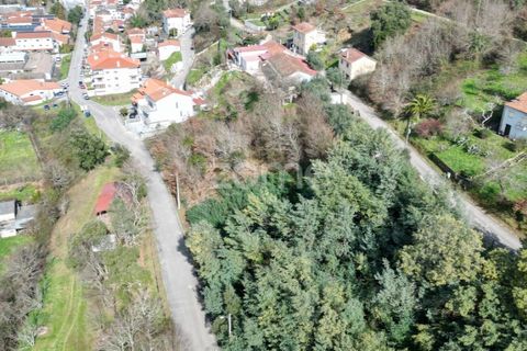 Helårsgrund i Arganil, Coimbra, Arganil - € 19.500 | Ref: ZMPT567812 - foto 23