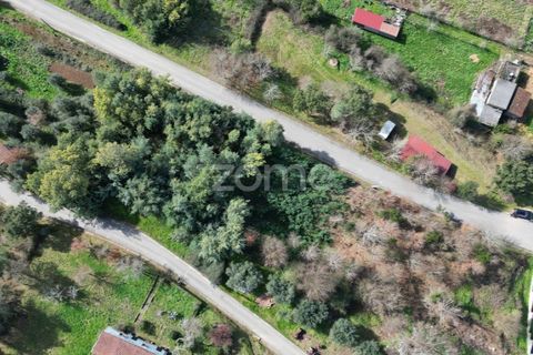 Helårsgrund i Arganil, Coimbra, Arganil - € 19.500 | Ref: ZMPT567812 - foto 25