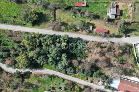 Helårsgrund i Arganil, Coimbra, Arganil - € 19.500 | Ref: ZMPT567812 - foto 26