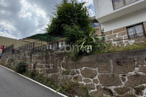 Villa i Penafiel, Porto, Penafiel - € 530.000 | Ref: ZMPT589919 - foto 15