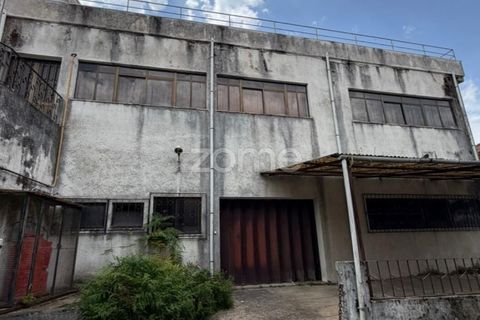 Villa i Penafiel, Porto, Penafiel - € 530.000 | Ref: ZMPT589919 - foto 16