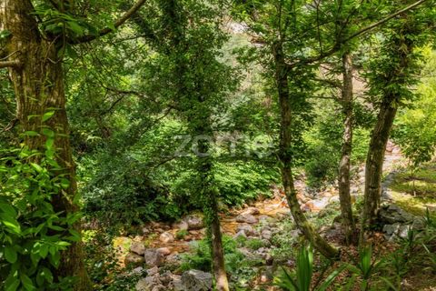 Lejlighed i Braga, Braga, Braga - € 390.000 | Ref: ZMPT589886 - foto 39