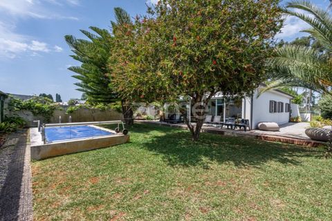 Villa a Torreira, Aveiro, Torreira - € 375.000 | Ref: ZMPT589840 - foto 5
