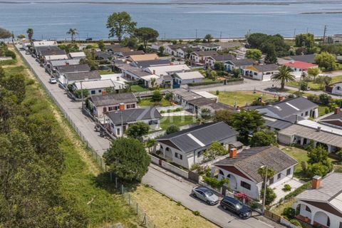 Villa a Torreira, Aveiro, Torreira - € 375.000 | Ref: ZMPT589840 - foto 2