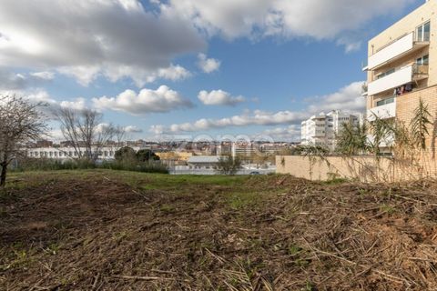 Helårsgrund i Coimbra, Coimbra, Coimbra - € 57.500 | Ref: ZMPT582811 - foto 11