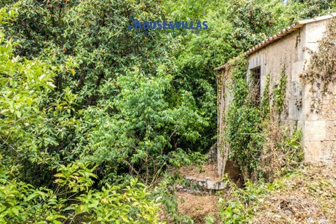 Villa i Noto, Siracusa, Noto - € 295.000 | Ref: 1312 - foto 4