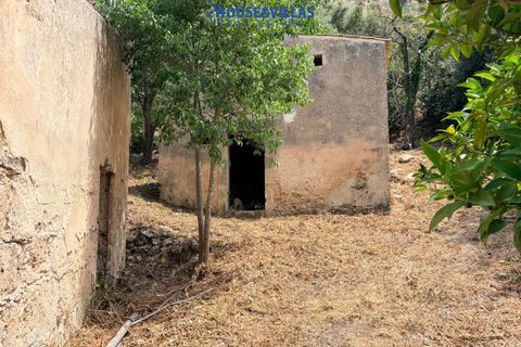 Villa i Noto, Siracusa, Noto - € 295.000 | Ref: 1312 - foto 15