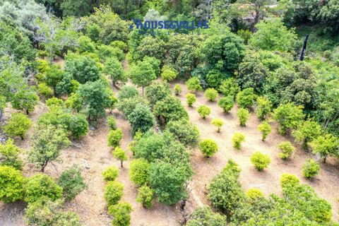 Villa i Noto, Siracusa, Noto - € 295.000 | Ref: 1312 - foto 31