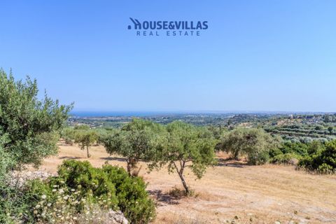 Villa en Noto, Siracusa, Noto - € 550.000 | Ref: 1313 - photo 13