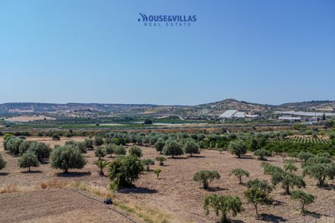 Terra a Noto, Siracusa, Noto - € 95.000 | Ref: 1314 - foto 2