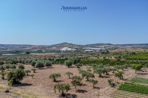 Terra a Noto, Siracusa, Noto - € 95.000 | Ref: 1314 - foto 3