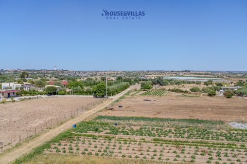 Terra a Noto, Siracusa, Noto - € 95.000 | Ref: 1314 - foto 4