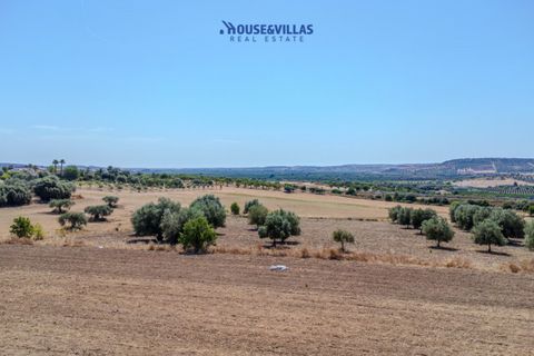 Terra a Noto, Siracusa, Noto - € 95.000 | Ref: 1314 - foto 5