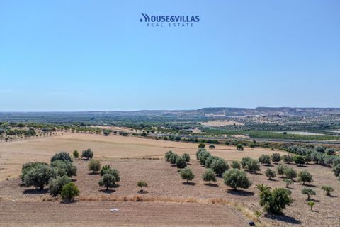 Terra a Noto, Siracusa, Noto - € 95.000 | Ref: 1314 - foto 6