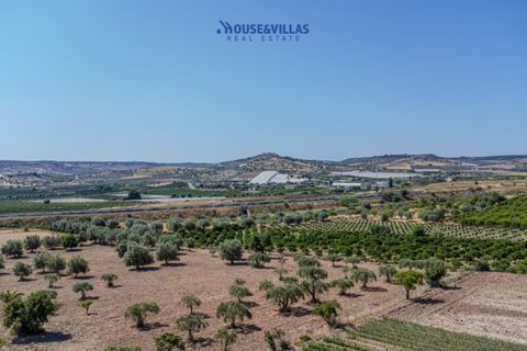 Terra a Noto, Siracusa, Noto - € 95.000 | Ref: 1314 - foto 7
