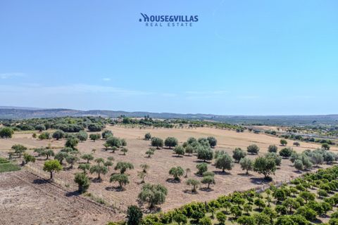 Terra a Noto, Siracusa, Noto - € 95.000 | Ref: 1314 - foto 8