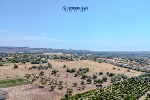 Terra a Noto, Siracusa, Noto - € 95.000 | Ref: 1314 - foto 9