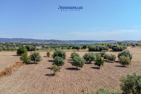 Terra a Noto, Siracusa, Noto - € 95.000 | Ref: 1314 - foto 11