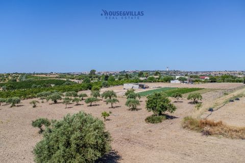 Terra a Noto, Siracusa, Noto - € 95.000 | Ref: 1314 - foto 12