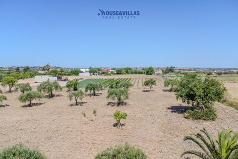 Terra a Noto, Siracusa, Noto - € 95.000 | Ref: 1314 - foto 13