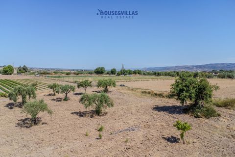 Terra a Noto, Siracusa, Noto - € 95.000 | Ref: 1314 - foto 14