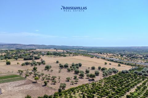 Terra a Noto, Siracusa, Noto - € 95.000 | Ref: 1314 - foto 15