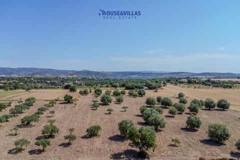 Terra a Noto, Siracusa, Noto - € 95.000 | Ref: 1314 - foto 16