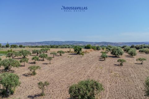 Terra a Noto, Siracusa, Noto - € 95.000 | Ref: 1314 - foto 17