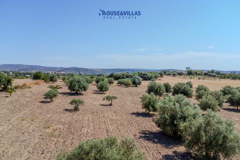 Terra a Noto, Siracusa, Noto - € 95.000 | Ref: 1314 - foto 18