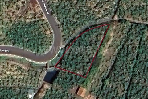 Helårsgrund i Calheta, Madeira, Calheta - € 1.500.000 | Ref: 081250221 - foto 7