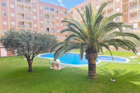 Leilighet i Torrevieja, Alicante, Torrevieja - € 150 000 | Ref: DOLP-98998 - foto 2