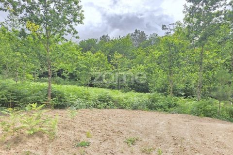 Helårsgrund i Amares, Braga, Amares - € 85.000 | Ref: ZMPT589780 - foto 3